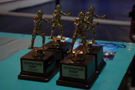 В Тбилисском районе появился боксерский ринг